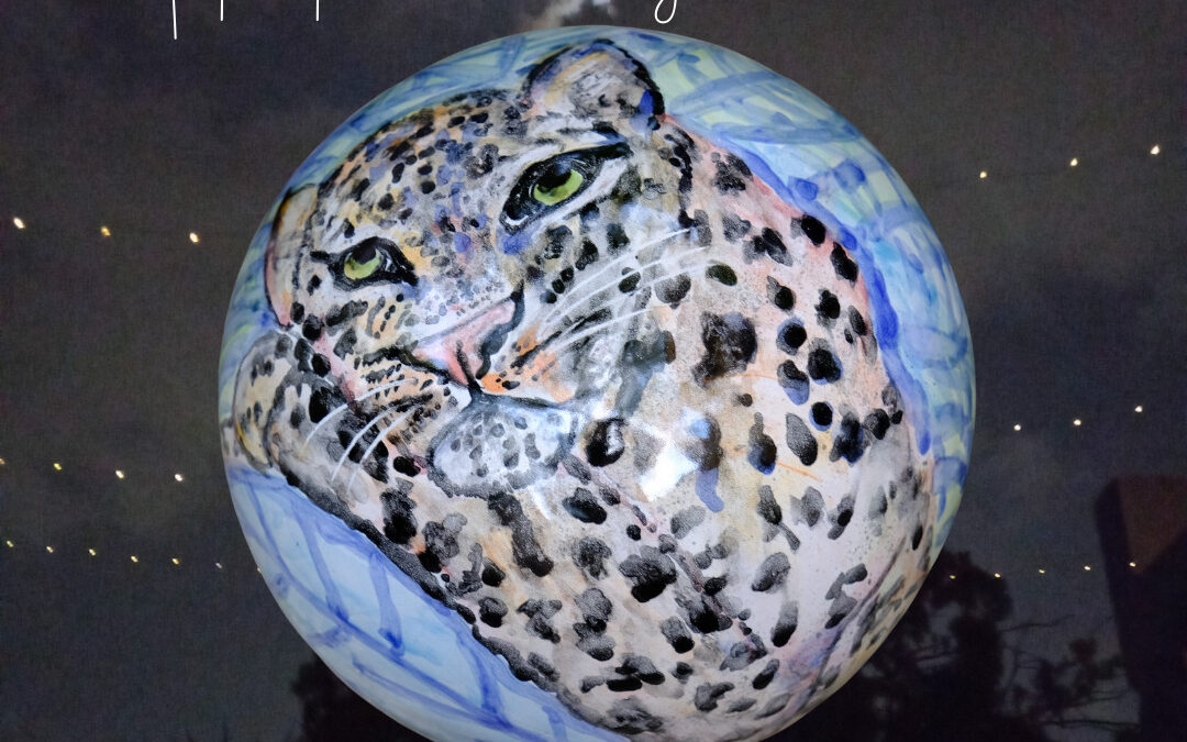 ‘Enchanted’ POP Up Exhibition